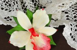Великолепная орхидея из фоамирана: прекрасное дополнение интерьера Просмотр как сделать орхидею из фоамирана